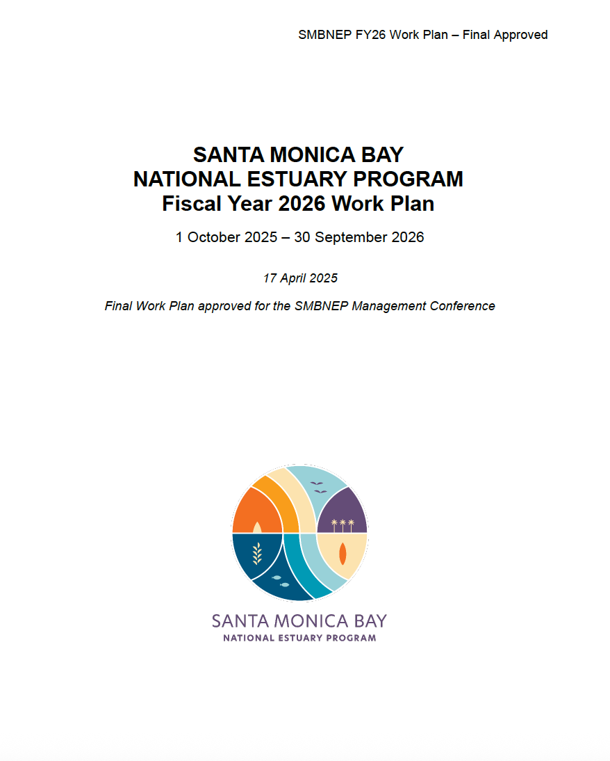 SMBNEP logo with cover page